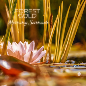 见仍头走秀视频30分钟
