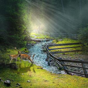 国产永久av免费网站
