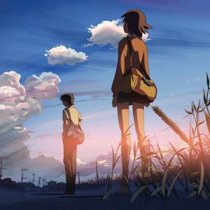 草莓视频免费观看
