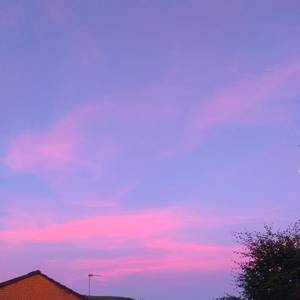 少爷被调教室跪趴sm男男微博
