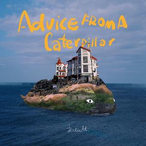 凪光老师的作品在线
