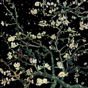 城ヶ崎百瀬无码破解在线观看
