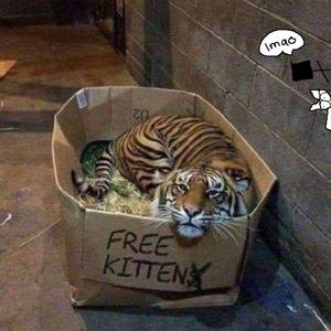 狠狠干狠狠干狠狠干
