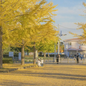 男人把ji大巴放进女人俄罗斯
