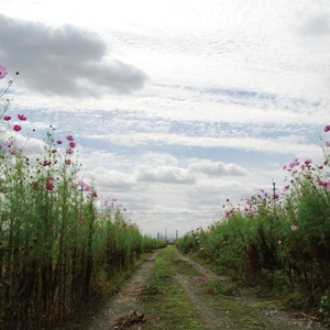 成人🔞高潮片免费视频喝酒醉
