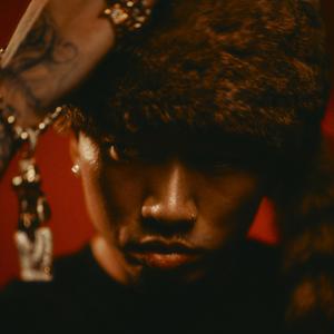 王子文门爱犬和妻子是哪一集
