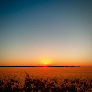 昭和五十路和六十路
