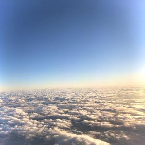 拍拍拍无档视屏人与兽
