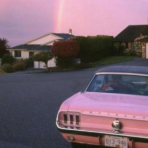 男生日女生骚B视频
