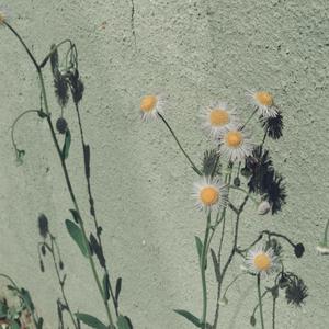 偷拍走光露出在线播放
