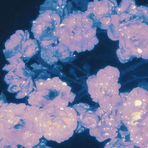 凪光老师的作品在线
