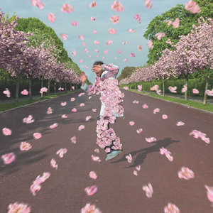 美丽母亲们的哀羞作者是谁写的
