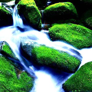 激情被操的动漫视频
