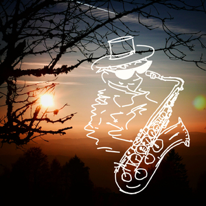 凪光老师的作品在线
