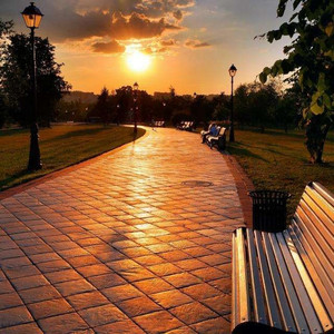 成人🔞高潮片免费视频喝酒醉
