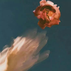 王子文门爱犬和妻子是哪一集
