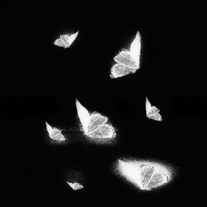 欧美人与动物xxx
