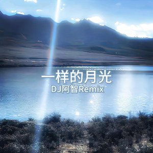 狗爷闯城中村 高清视频
