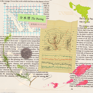 扒开胡桃❌狂揉❌难受
