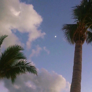 艳星Ⅴide0S极品HD
