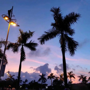 janpense女厕撒尿
