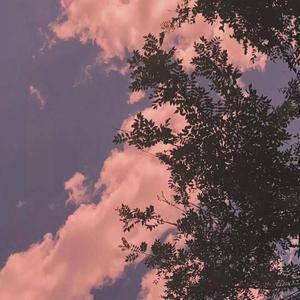 猫猫狐狐春梦之夜图片
