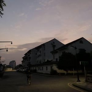 猫猫狐狐春梦之夜图片
