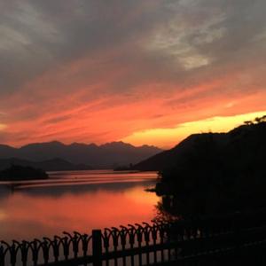 草莓视频免费观看
