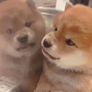 男人🍌伸进🍑爆白浆网站
