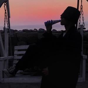 罗丽星克莱尔护士日记英文版
