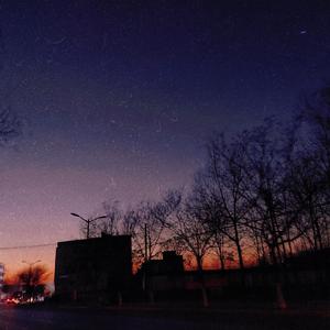 少妇裸体一级视频免费观看大全
