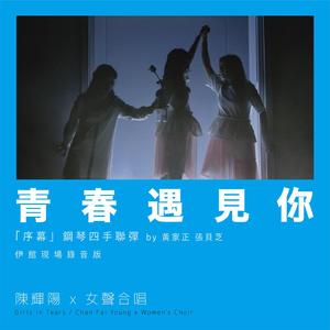 无码片在线观看
