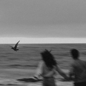 免费欧美一级A片
