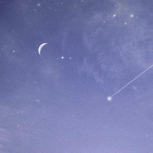 草莓视频免费观看
