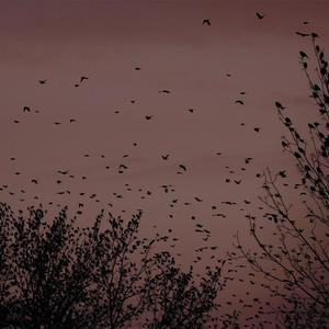 色克斯AV搬运工
