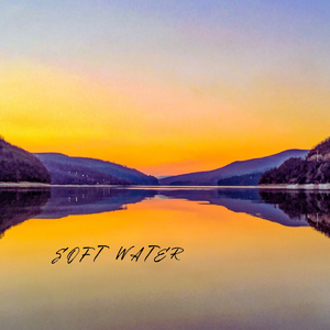 人与兽特级性交神兽特技性交
