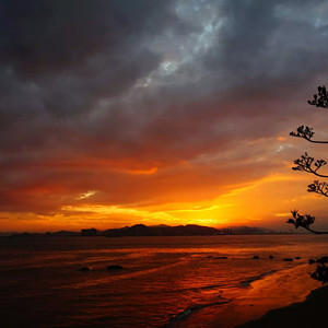 污污视频在线下载网页
