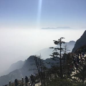 农村骚老头大鸡巴直播
