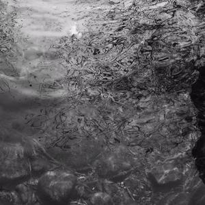 40岁农村妇女素颜照片
