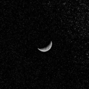 疯狂添女人下面69互添
