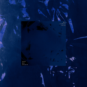 猫猫狐狐春梦之夜图片
