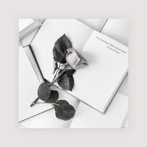 成人黄色网址在线
