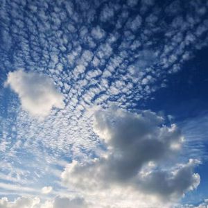 国产免费熟女阿姨入厕全部过程视频
