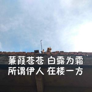 大鸡吧好舒服视频
