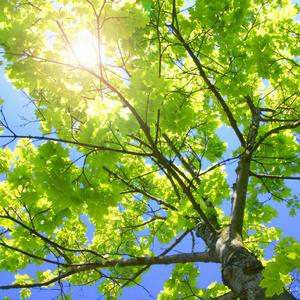 少妇裸体一级视频免费观看大全
