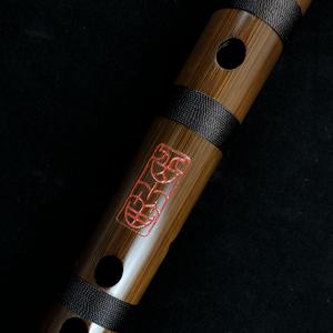 汤方全身100张图片
