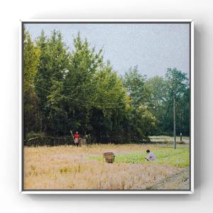 稀缺 呦交 UU 暗呦X
