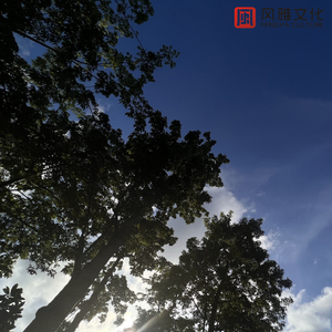 欧美打屁股惩罚spanking
