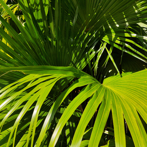 大鸡吧好舒服视频
