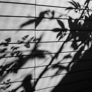 农村骚老头大鸡巴直播
